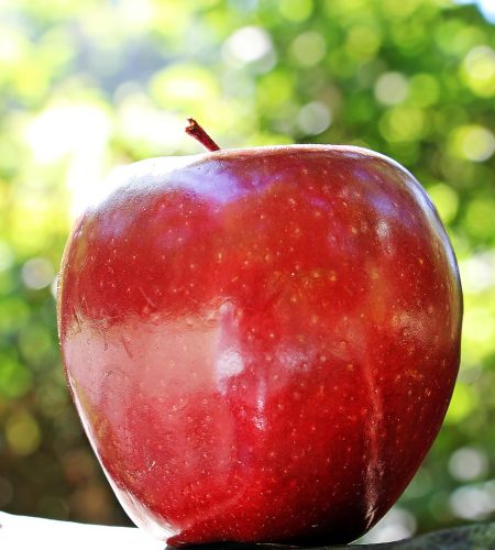 About apple, red, fruit, red chief, red apple, fresh apple, ripe, ripe apple, fresh, fresh fruit, harvest, produce, organic, healthy, food, close up, apple, apple, apple, apple, apple