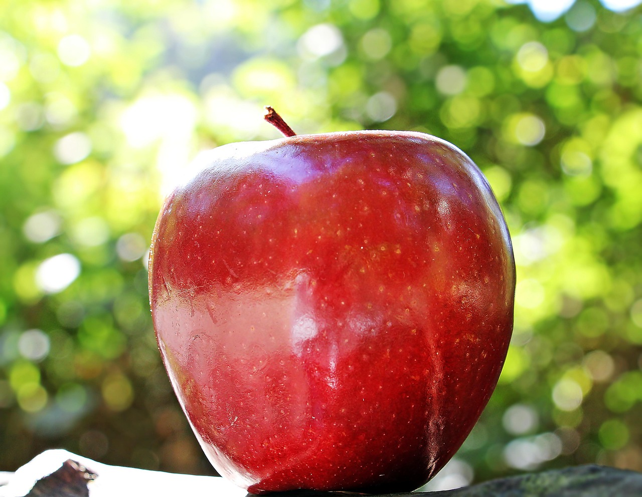 apple, red, fruit, red chief, red apple, fresh apple, ripe, ripe apple, fresh, fresh fruit, harvest, produce, organic, healthy, food, close up, apple, apple, apple, apple, apple
